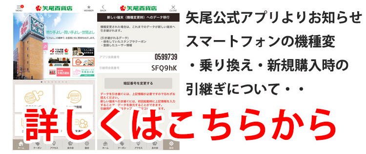 q13